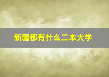 新疆都有什么二本大学