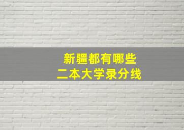 新疆都有哪些二本大学录分线