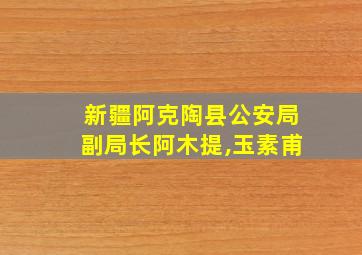 新疆阿克陶县公安局副局长阿木提,玉素甫