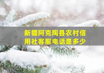 新疆阿克陶县农村信用社客服电话是多少