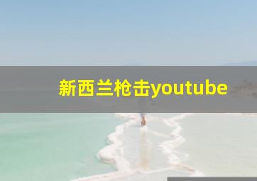 新西兰枪击youtube