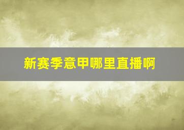 新赛季意甲哪里直播啊