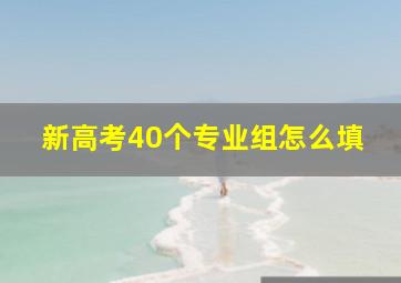 新高考40个专业组怎么填