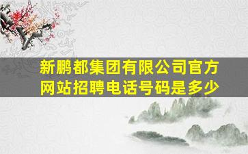 新鹏都集团有限公司官方网站招聘电话号码是多少