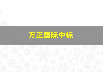 方正国际中标