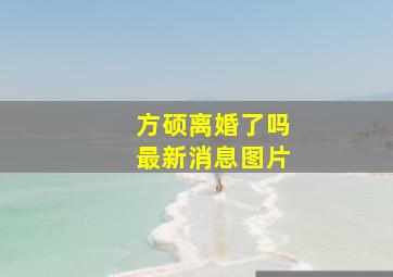 方硕离婚了吗最新消息图片