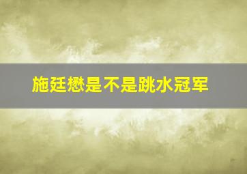 施廷懋是不是跳水冠军