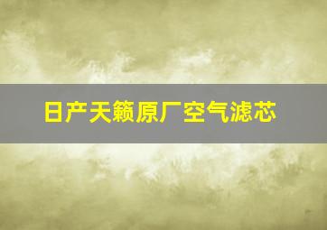 日产天籁原厂空气滤芯