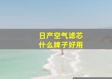 日产空气滤芯什么牌子好用