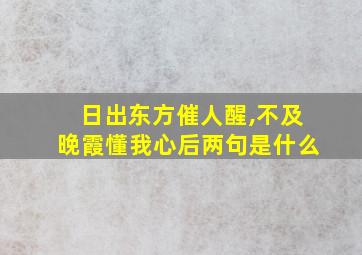 日出东方催人醒,不及晚霞懂我心后两句是什么