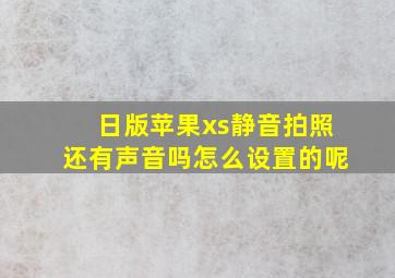 日版苹果xs静音拍照还有声音吗怎么设置的呢