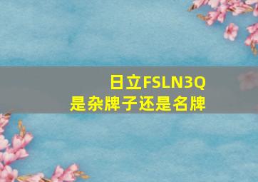 日立FSLN3Q是杂牌子还是名牌