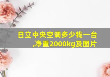 日立中央空调多少钱一台,净重2000kg及图片