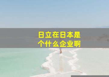 日立在日本是个什么企业啊