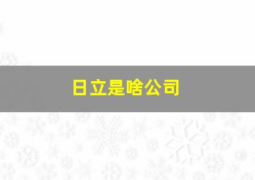 日立是啥公司