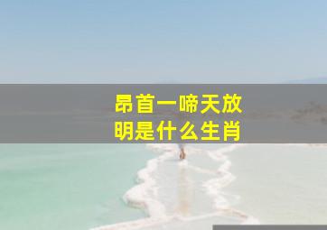 昂首一啼天放明是什么生肖