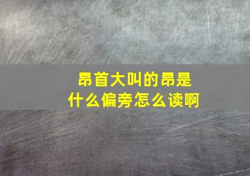 昂首大叫的昂是什么偏旁怎么读啊