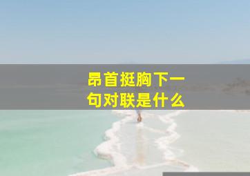 昂首挺胸下一句对联是什么