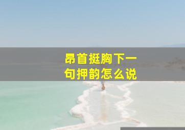 昂首挺胸下一句押韵怎么说