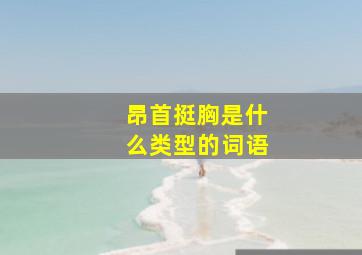 昂首挺胸是什么类型的词语