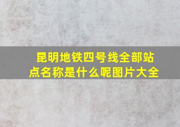 昆明地铁四号线全部站点名称是什么呢图片大全