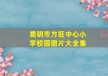 昆明市方旺中心小学校园图片大全集