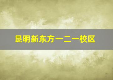 昆明新东方一二一校区