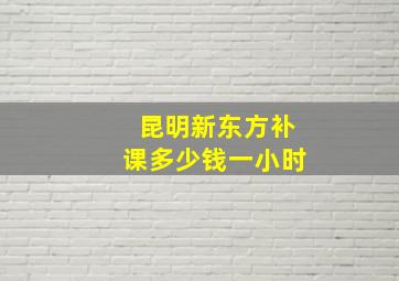 昆明新东方补课多少钱一小时