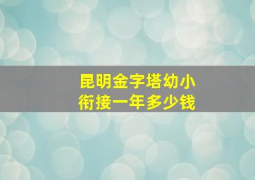 昆明金字塔幼小衔接一年多少钱