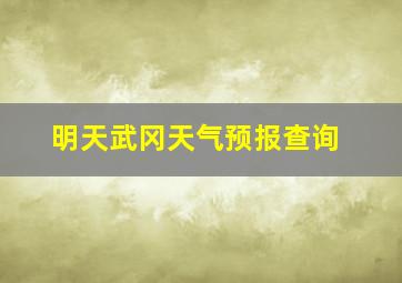 明天武冈天气预报查询