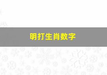 明打生肖数字