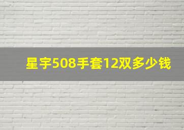 星宇508手套12双多少钱