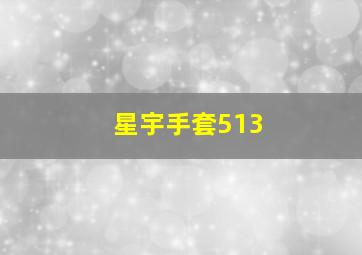 星宇手套513