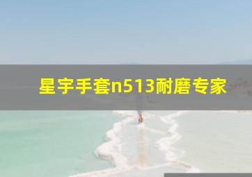 星宇手套n513耐磨专家