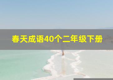 春天成语40个二年级下册