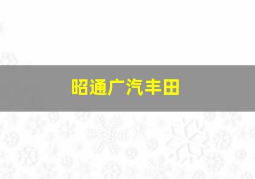 昭通广汽丰田