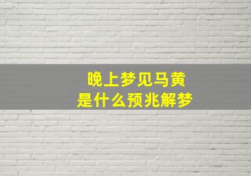 晚上梦见马黄是什么预兆解梦