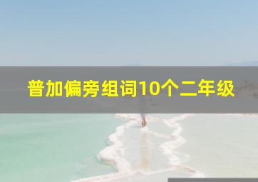 普加偏旁组词10个二年级