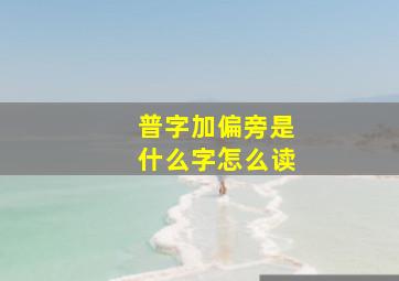 普字加偏旁是什么字怎么读