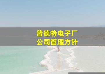 普德特电子厂公司管理方针