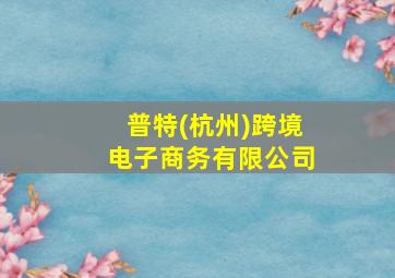 普特(杭州)跨境电子商务有限公司