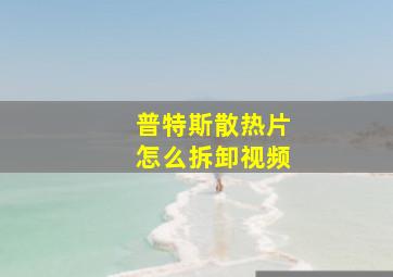 普特斯散热片怎么拆卸视频