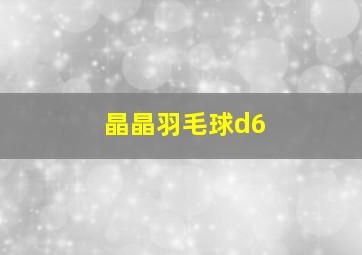 晶晶羽毛球d6