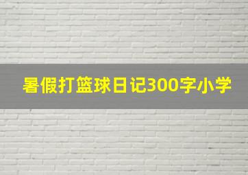 暑假打篮球日记300字小学