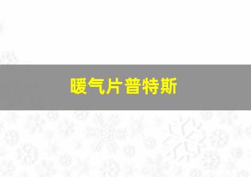 暖气片普特斯