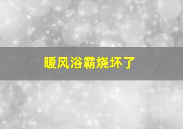 暖风浴霸烧坏了