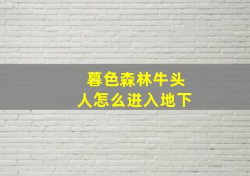 暮色森林牛头人怎么进入地下