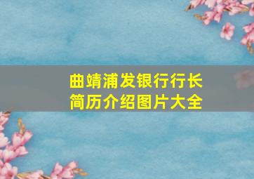 曲靖浦发银行行长简历介绍图片大全