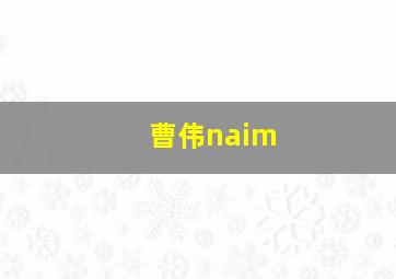 曹伟naim