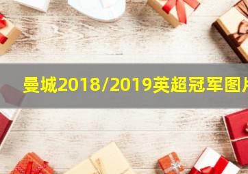 曼城2018/2019英超冠军图片